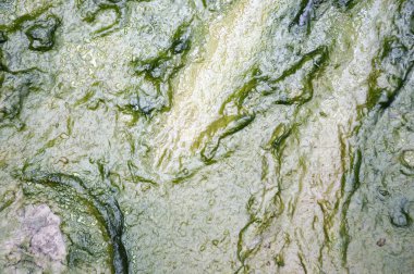 Islak çamurlu dokuyu kapat