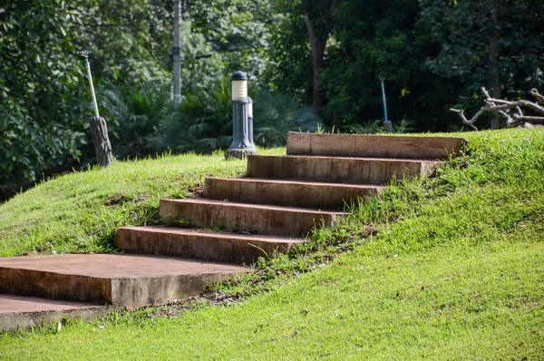 Merdiven Içinde Doğa Garden Ülke Chiang Mai Tayland — Stok fotoğraf