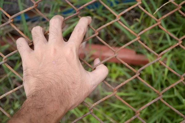 Mano Con Valla Metal Sin Libertad — Foto de Stock