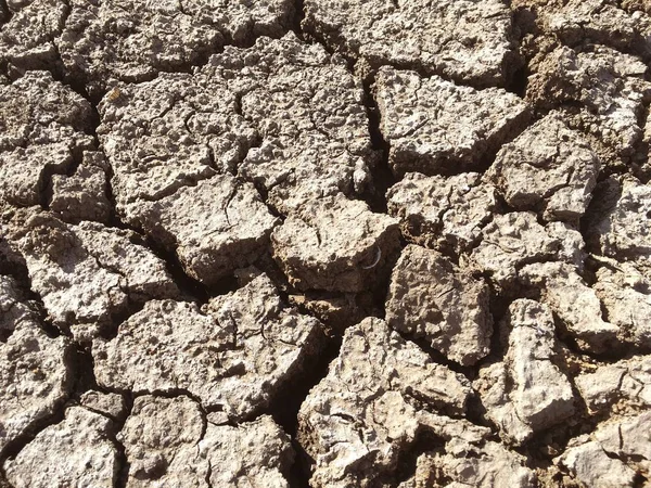 Dry Cracked Soil Texture — Stock Photo, Image
