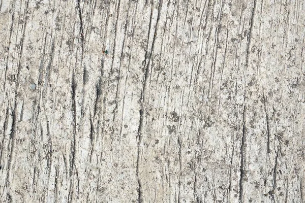 Ancienne Texture Plancher Bâtiment Ciment — Photo