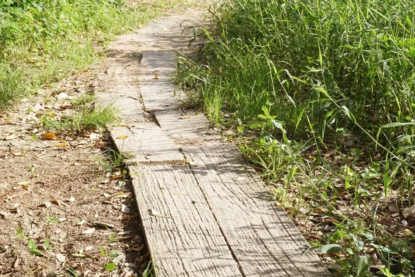 Camino Cemento Jardín Natural País Tailandia — Foto de Stock