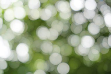 arka plan için doğa bahçede güzel bokeh