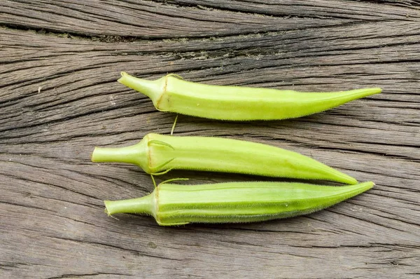 Árbol Verde Okra Jardín —  Fotos de Stock