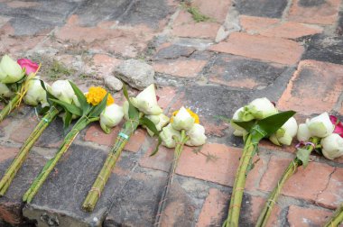 diğer çiçek için çimento zemin üzerinde beyaz lotus saygı Buda heykeli Ayutthaya, Tayland