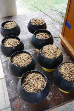 Plastik kase hayvan yemi kapatın