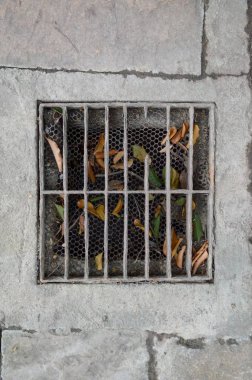 yerdeki grunge rendeleyin, yakın çekim