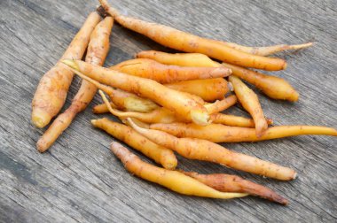 ahşap tahta üzerinde taze fingerroot