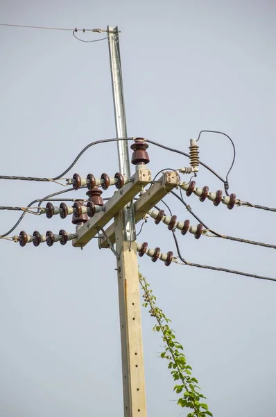Vicino Pilone Elettrico Nel Paese Thailandia — Foto Stock