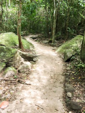 Khao Chamao, Rayong, Tayland 'da doğa yolu.
