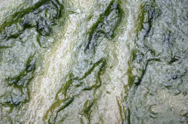 Islak çamurlu dokuyu kapat