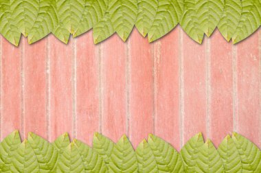 ahşap doku taze yeşil yaprak