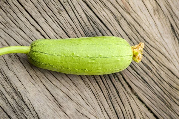 Sütőtök Padló Luffa Cylindrica Szivacs — Stock Fotó