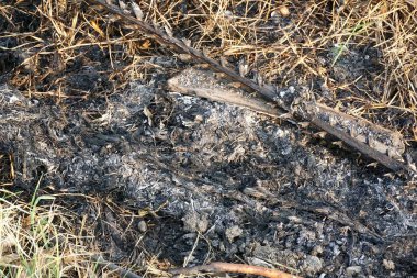 Yerde odun yığını ve kül var.