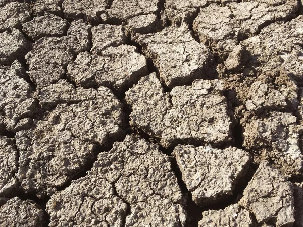 Dry Cracked Soil Texture Background — Stock Photo, Image