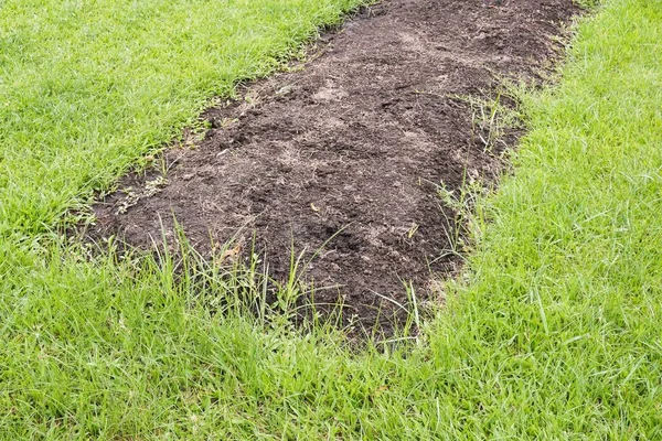 Préparation Sol Pour Semer Des Légumes Dans Agriculture Champ — Photo