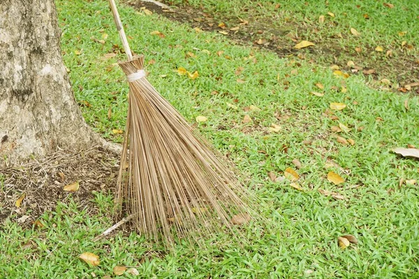 Trockener Kokosnussbesen Auf Grasboden — Stockfoto