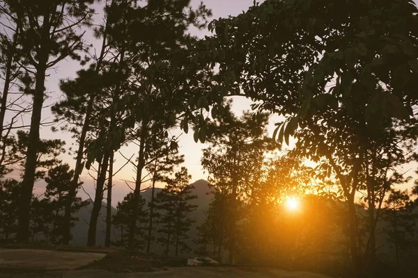 Luz Del Sol Bosque Mae Hong Son Norte Tailandia —  Fotos de Stock