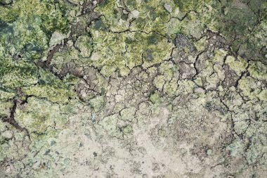 kuru çatlamış toprak dokusu arka planı