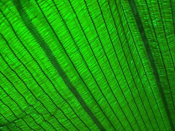 Yeşil Gölgelendirme Net Doku — Stok fotoğraf