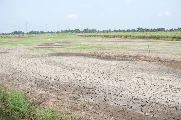 Tanah Kering Retak Tanah Pertanian Thailand — Stok Foto