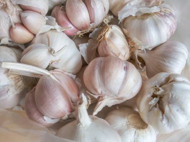 gıda dükkanında kuru sarımsak yakın