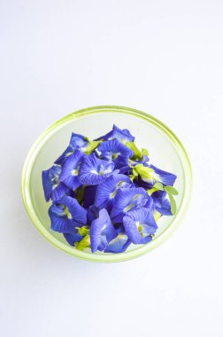 Beyaz arka planda klitoria ternatea çiçeği