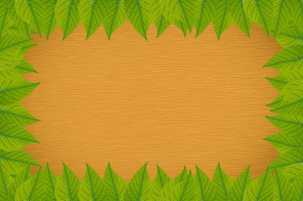 褐色背景的绿叶 — 图库照片