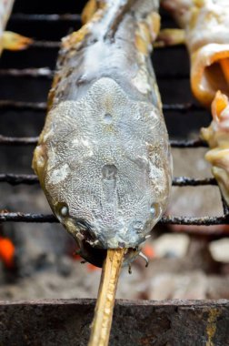 Yayın balığı ile kömür ızgara