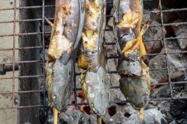 Yayın balığı ile kömür ızgara