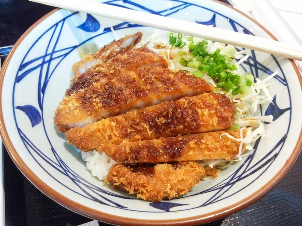 Tonkatsu Japan Pork Fried — Stock Photo, Image