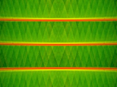 yeşil renk soyut model arkaplanı