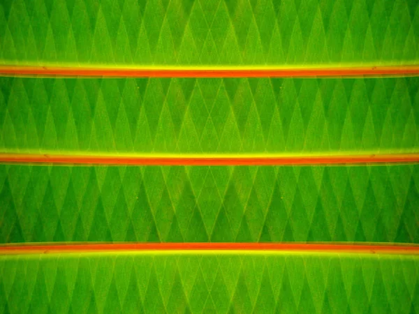 yeşil renk soyut model arkaplanı