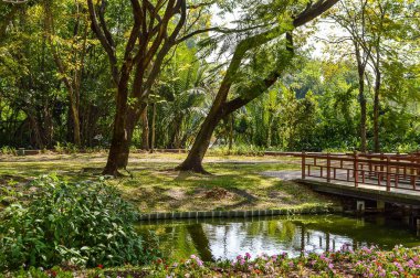 Tayland 'da doğa bahçesi