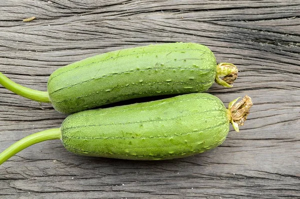 Sünger kabak ahşap zemin - lif kabağı cylindrica üzerinde