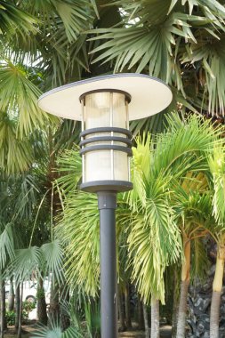 doğa bahçesinde elektrik lambası direği