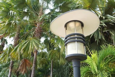 doğa bahçesinde elektrik lambası direği