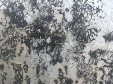 Eski beton bina zemin dokusu