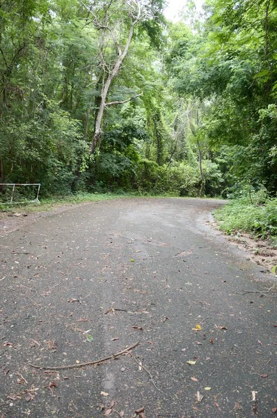 Landstraße Wald Bei Chonburi Thailand — Stockfoto