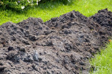 alan Ziraat sebze Ekim için zemin hazırlama