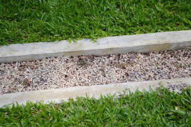 doğa bahçesinde çim zemin