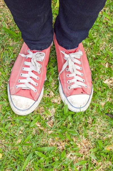 在绿色草地上的红色鞋子 — 图库照片