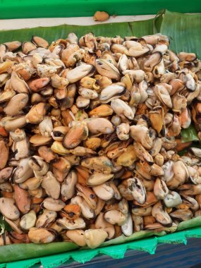 Tayland Asya yeşil midye