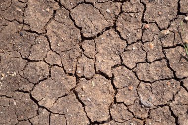 kuru çatlamış toprak dokusu arka planı