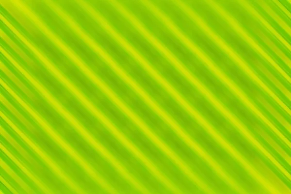 Green Color Pattern Background — Stock Photo, Image