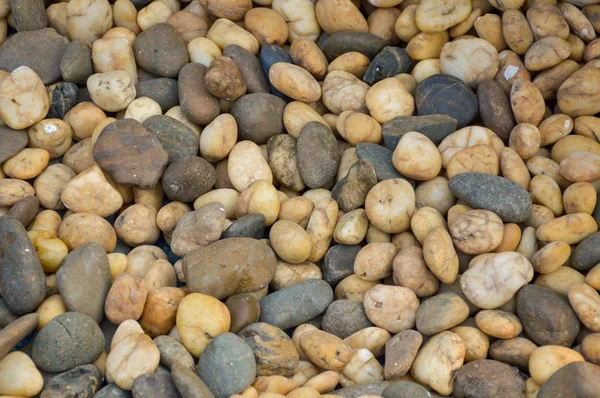 Vacker Blomkruka Träbord — Stockfoto