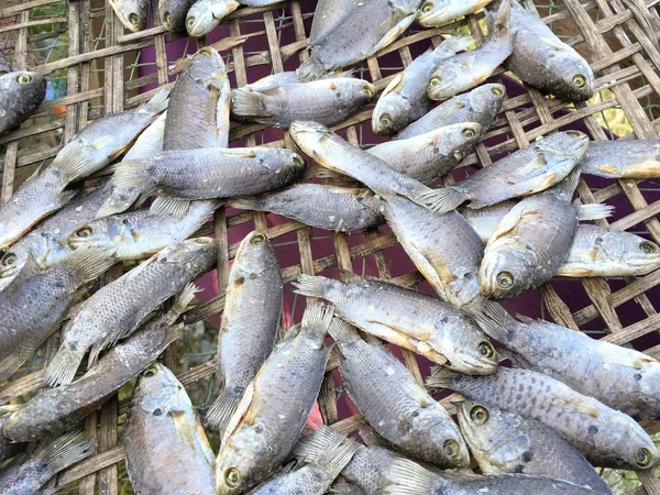 Dry Anabas Testudineus Fish Bamboo Floor — Stock Photo, Image