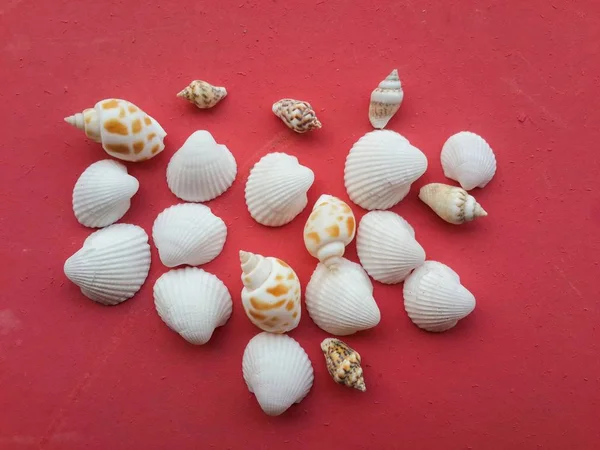 Kırmızı katta kuru kabuk