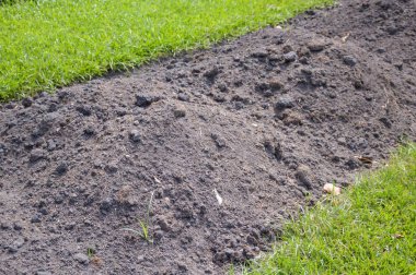 tarımda sebze yetiştirmek için toprak hazırlığı