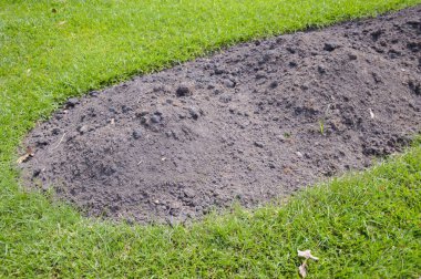 tarımda sebze yetiştirmek için toprak hazırlığı